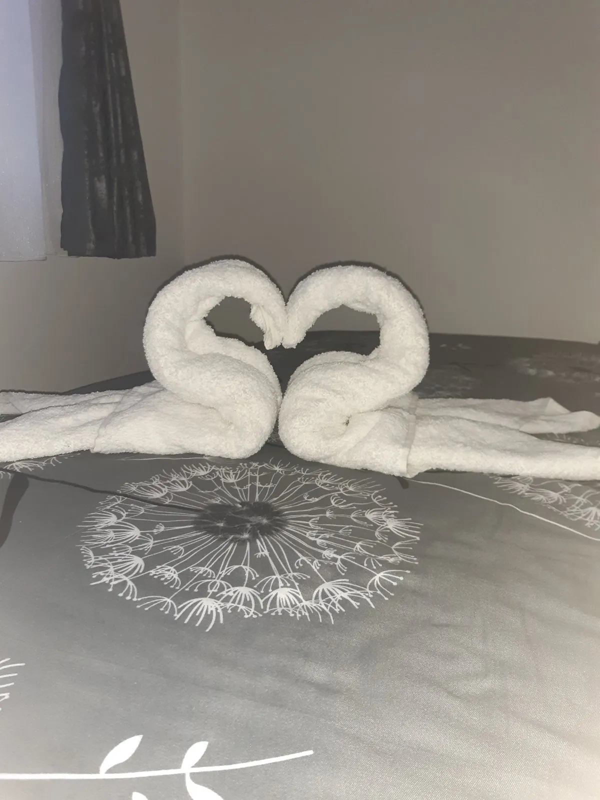 ENA apartman