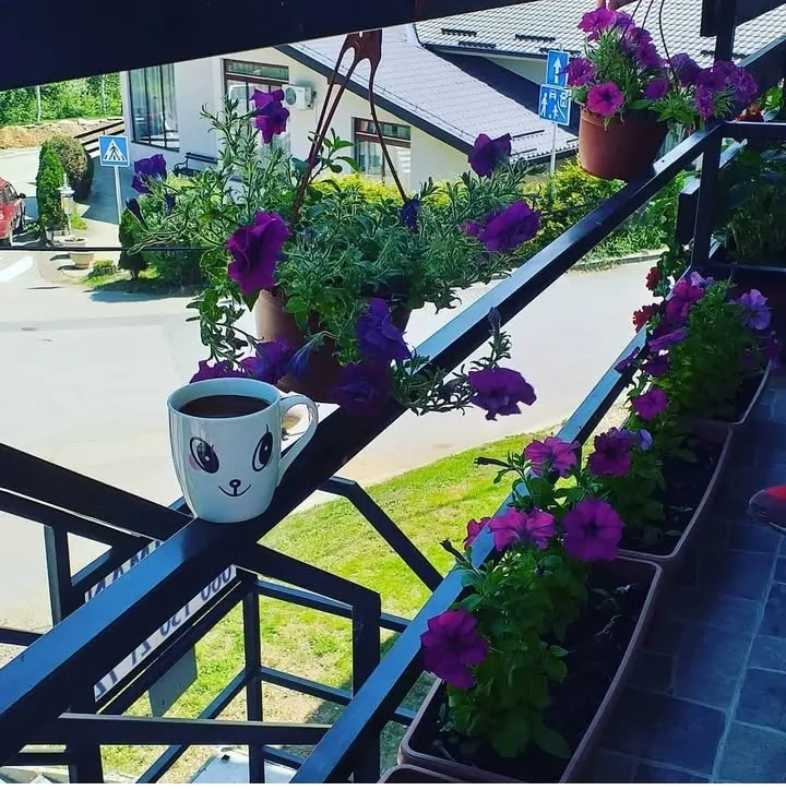 Apartman Smilic 