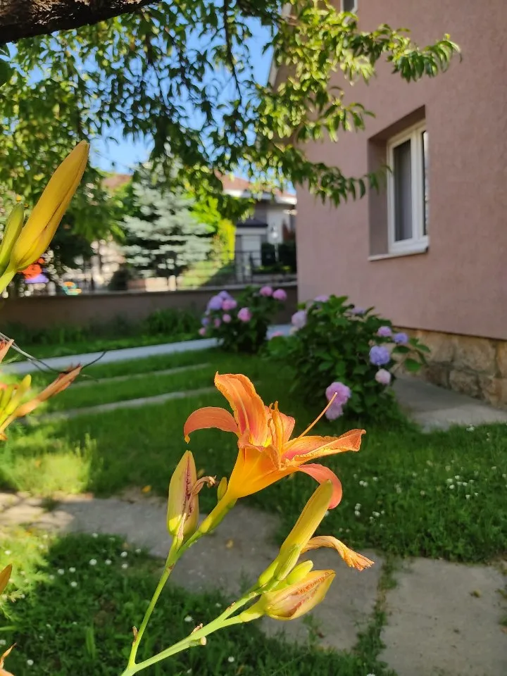 Apartman Nata Vrnjačka Banja