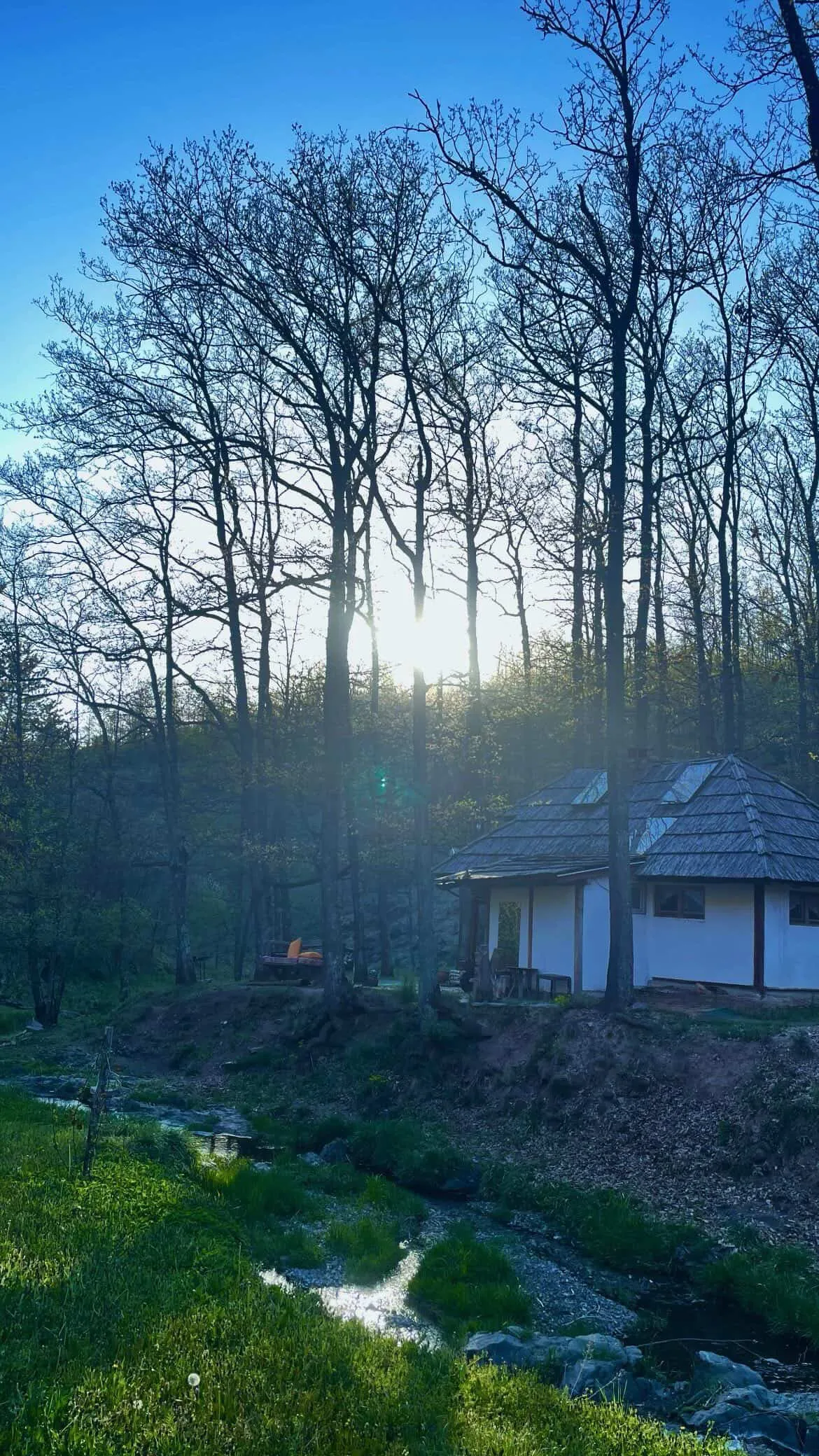Brvnara Mila Vila