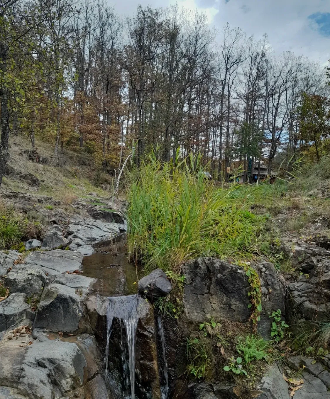 Brvnara Mila Vila